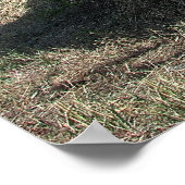 INTERNATIONAL HARVESTER FIRE TRUCK c. 1946 Poster (Ecke)