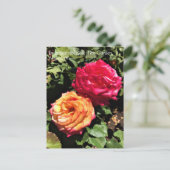 International Rose Test Garden, Portland, Oregon P Postkarte (Stehend Vorderseite)