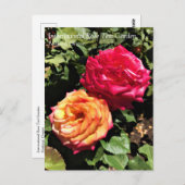 International Rose Test Garden, Portland, Oregon P Postkarte (Vorne/Hinten)
