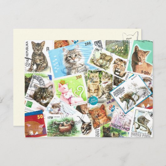 Internationale Cat Postage-Briefmarke Postkarte (Vorne/Hinten)