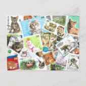 Internationale Cat Postage-Briefmarke Postkarte (Vorderseite)