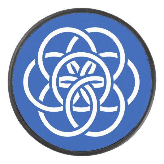 Internationale Flagge des Planeten Erde Eishockey Puck (Vorderseite)