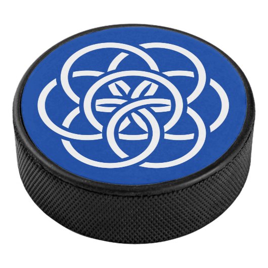 Internationale Flagge des Planeten Erde Eishockey Puck (3/4)