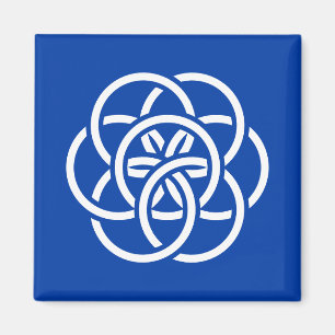 Internationale Flagge des Planeten Erde Magnet