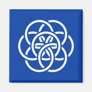 Internationale Flagge des Planeten Erde Magnet