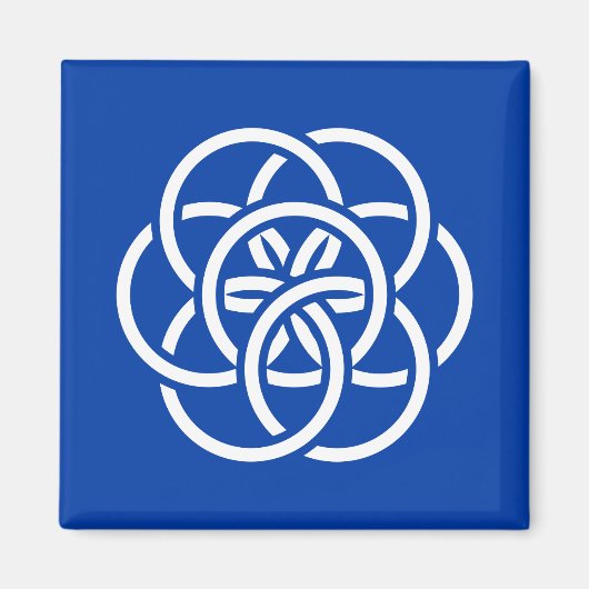 Internationale Flagge des Planeten Erde Magnet (Vorne)