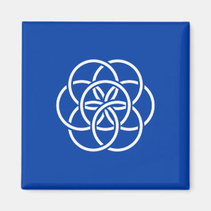 Internationale Flagge des Planeten Erde Magnet