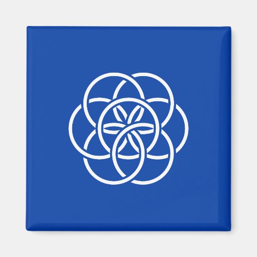 Internationale Flagge des Planeten Erde Magnet (Vorne)