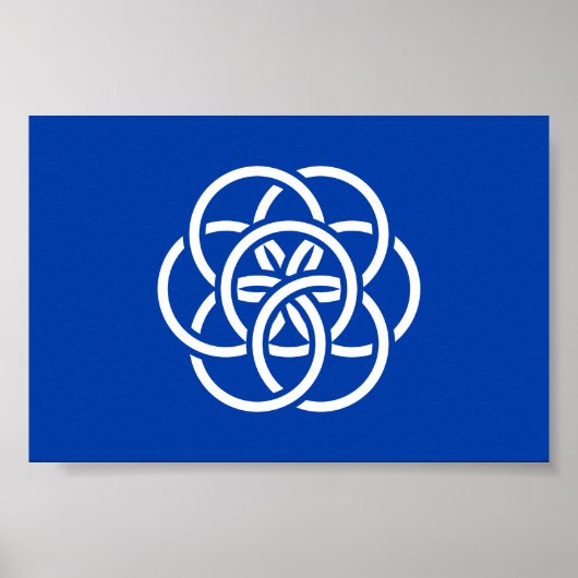 Internationale Flagge des Planeten Erde Poster (Vorne)