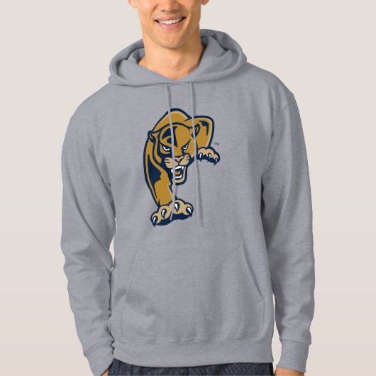 Internationale Hochschulen Hoodie (Vorderseite)