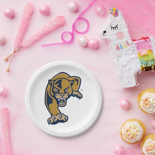 Internationale Hochschulen Pappteller (Party)