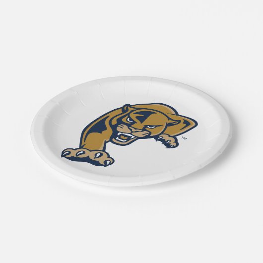 Internationale Hochschulen Pappteller (Schrägansicht)