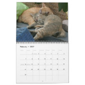 Internationaler Katzen-Kalender Kalender (Feb 2027)