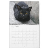 Internationaler Katzen-Kalender Kalender (Mär 2027)