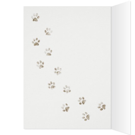 Internationaler Tag der Katze (Innen (Links))