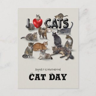 Internationaler Tag der Katze Postkarte