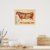 Interne Anatomie der Rinderrinde Poster (Küche)