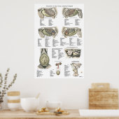 Interne Anatomie-Poster-Diagramm Poster (Küche)