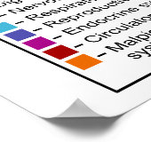 Interne Morphologie des Moth Butterfly Lepidoptera Poster (Ecke)