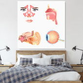Interne Organe Leinwanddruck (Insitu (Schlafzimmer))