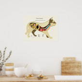 Interne weibliche Anatomie-Veterinärdiagramm Poster (Küche)