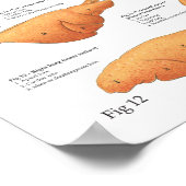 Internes Anatomie-Poster der Rinderkuh Poster (Ecke)