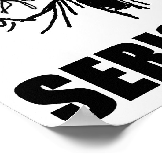 Internet Ernstes Geschäft Poster (Ecke)