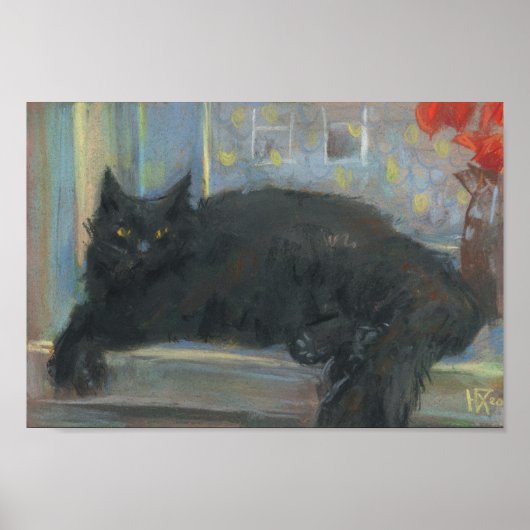 Interruptes Nickerchen, Schwarze Katze Impressioni Poster (Vorne)