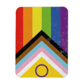 Intersex-Inklusive Progress Pride Flagge Magnet (Vertikal)