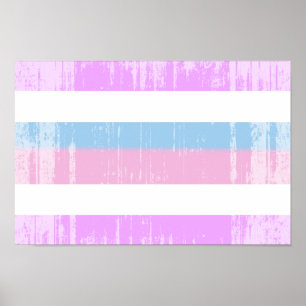 Intersex Pride Flag Poster