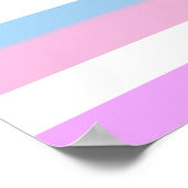 Intersex Pripes Poster (Ecke)