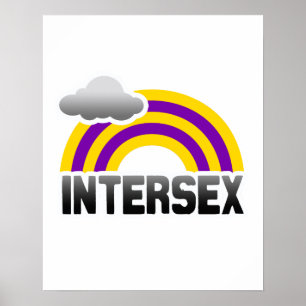 INTERSEX-REGENBOGEN POSTER