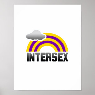 INTERSEX-REGENBOGEN POSTER