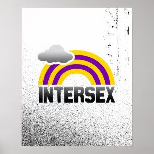 INTERSEX-REGENBOGEN POSTER