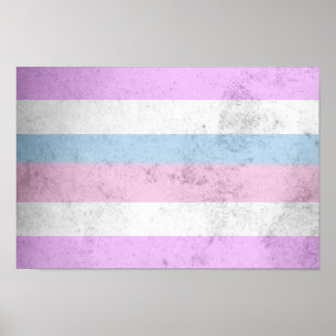 Intersex-Stolz-Flagge Poster