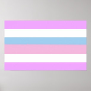 Intersex-Stolzflagge Poster
