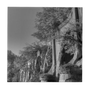 Interurban Bridge Fliese