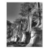 Interurban Bridge Fotodruck (Vorne)