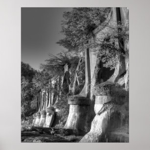 Interurban Bridge Poster