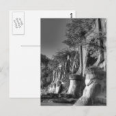 Interurban Bridge Postkarte (Vorne/Hinten)