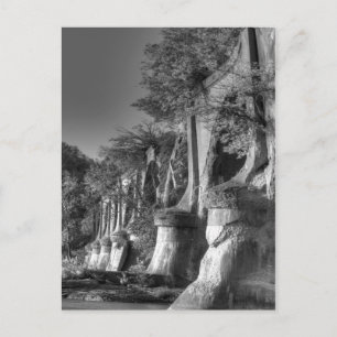 Interurban Bridge Postkarte