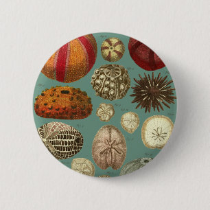 Intestina et Mollusca Linnaei Button