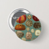 Intestina und Mollusca Linnaei Button (Vorne & Hinten)