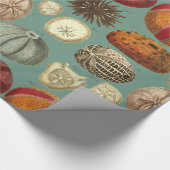 Intestina und Mollusca Linnaei Geschenkpapier (Ecke)