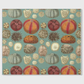 Intestina und Mollusca Linnaei Geschenkpapier (Flach)