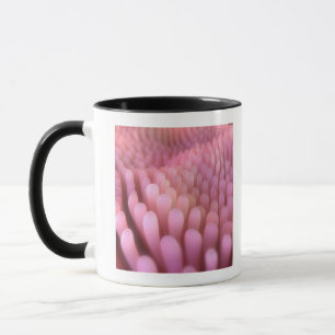 Intestinale Darmzotten 2 Tasse
