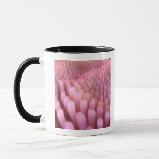 Intestinale Darmzotten 2 Tasse (Links)