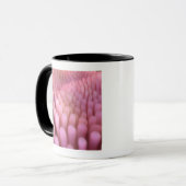 Intestinale Darmzotten 2 Tasse (Vorderseite Links)