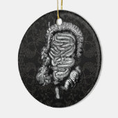 INTESTINS DIAGRAM VINTAG KERAMIKORNAMENT (Links)