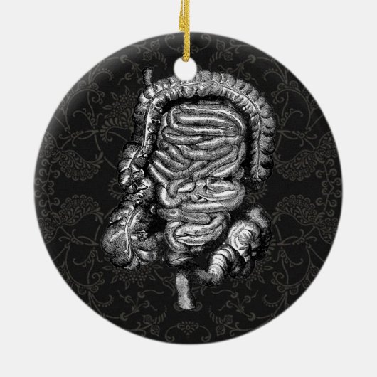 INTESTINS DIAGRAM VINTAG KERAMIKORNAMENT (Hinten)